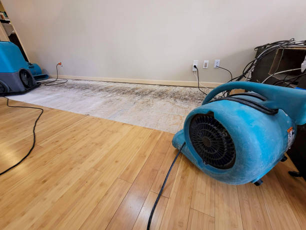 Reliable Basement Flood Cleanup contractor in Eagle, ID by Hirex Water Damage