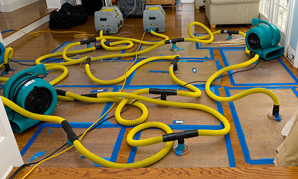 Professional Basement Flood Cleanup technician working in Eagle, ID